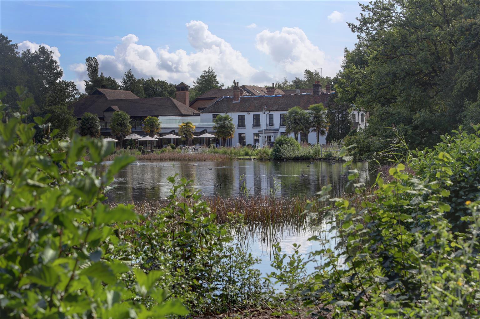 Frensham Pond Country House Hotel & Spa Farnham (Surrey) Exterior foto