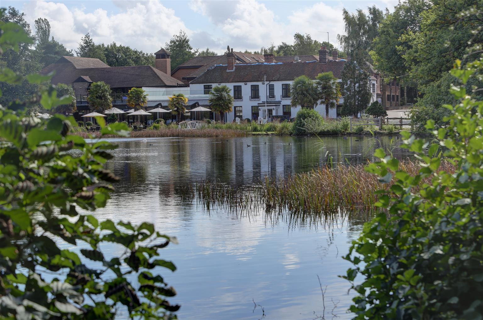 Frensham Pond Country House Hotel & Spa Farnham (Surrey) Exterior foto